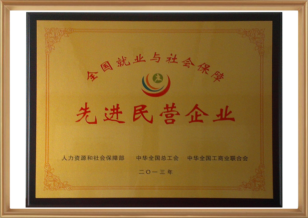 天下就业与社会包管先进民营企业（铜牌）_d.jpg